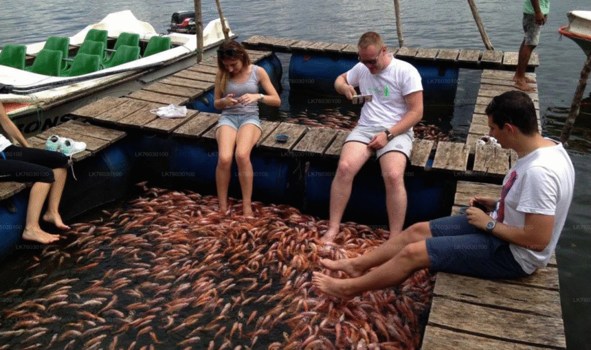 Bentota—Sri Lanka’s Tropical Playground by the Sea